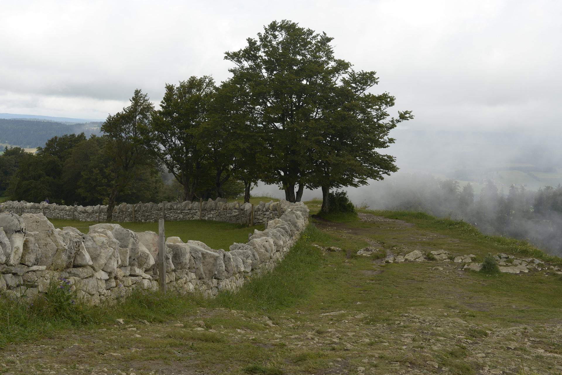 Actualit Val De Travers Haut Plateau Du Creux Du Van Le Tribunal