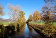 Sécheresse : pompage interdit dans l’Areuse, la commune appelle à économiser l’eau