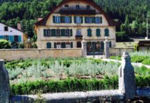 Distillerie Absinthe Martin