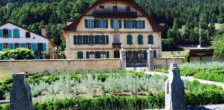 Distillerie Absinthe Martin