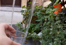 Devenez figurant pour Absinthe en fête