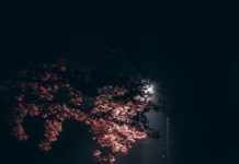 lighted street lamp post during night time