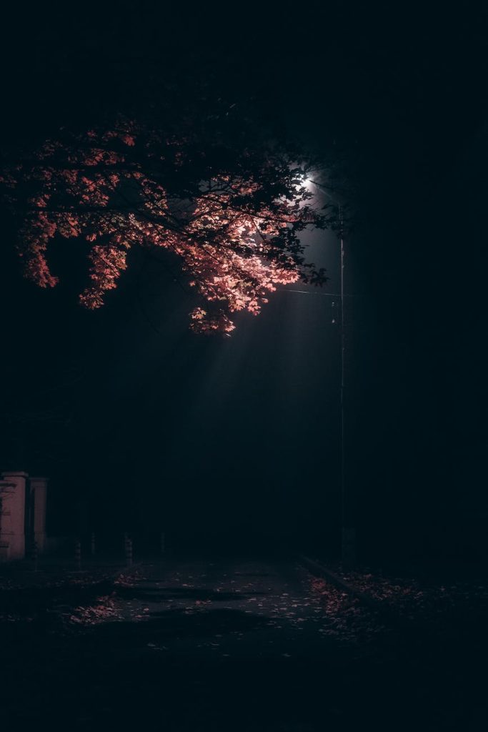 lighted street lamp post during night time