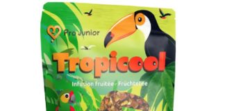 Thé aux fruits Tropicool, infusable à chaud ou à froid